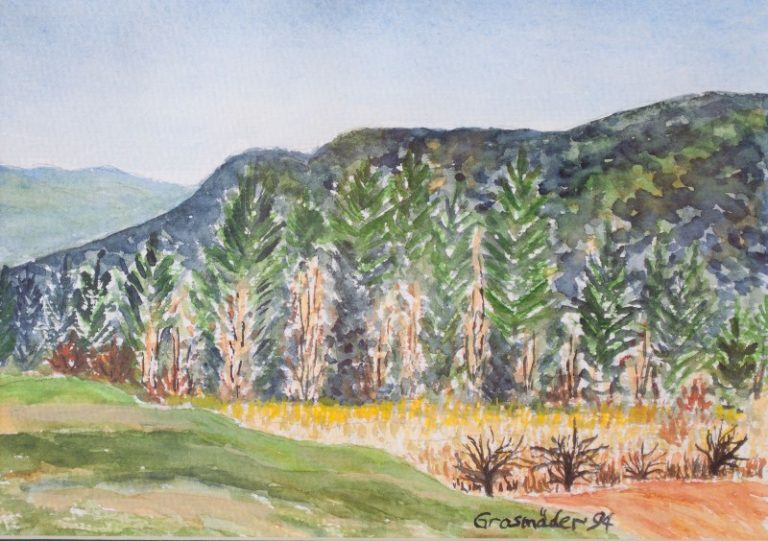 Im Schwarzwald, 1994, Aquarell, 26x18 cm, gerahmt mit Passepartout
