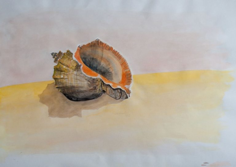 Muschel, 1993, Gouache, 60x42 cm